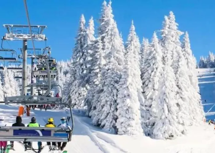 Katarina - Lux Two Bedroom In Kopaonik